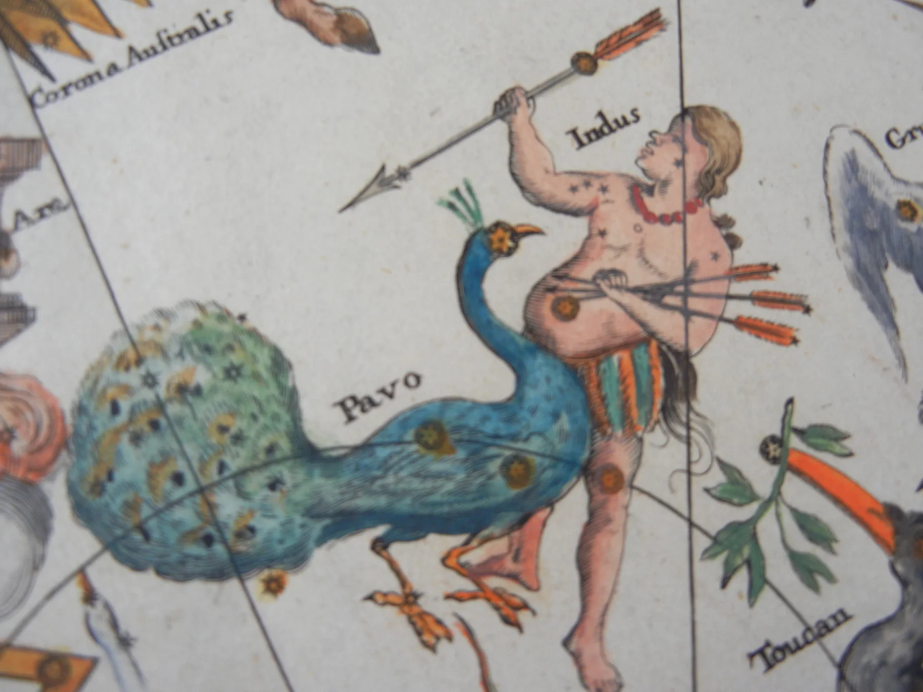 Historical celestial chart of Pavo and Indus